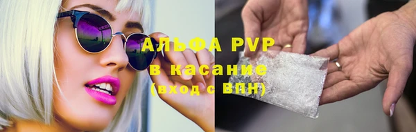 apvp Алзамай