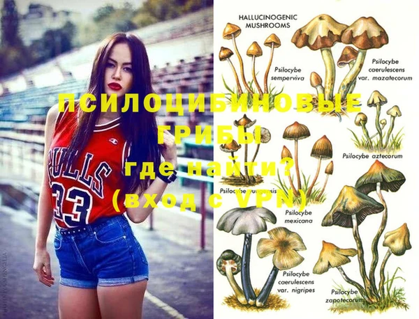 apvp Алзамай
